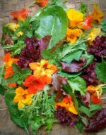 Salad Mix - Sunshine - Gambar 2