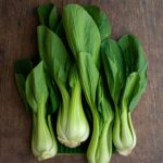 Asian Greens - Bok Choy - Shanghai Green