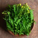 Arugula - Wild Sylvetta